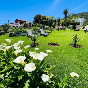 Casa Lazaro, Appartement